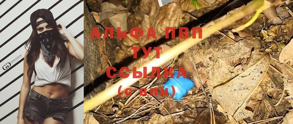 дживик Богородицк