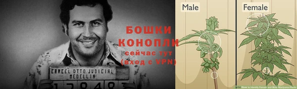 прущий лед Белокуриха