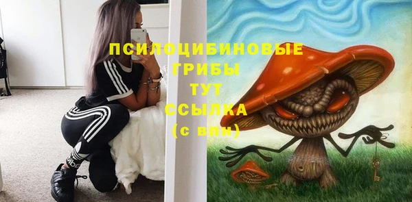 дживик Богородицк
