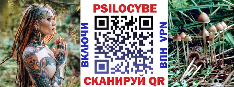 что такое наркотик  Чусовой  Псилоцибиновые грибы Psilocybe 